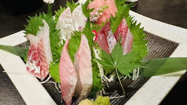 Sakana to Shunsai to Nihonshu Aburi no Doman Naka