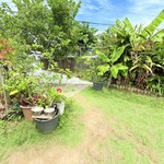 沖縄そば 崎濱製麺 - 