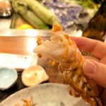 俺の炉ばた 恵比寿 - 