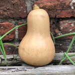 蕎麦粉食堂 Buckwheat - 