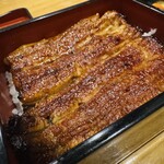 居酒屋 ほたる - うな重