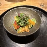 ヴァカンツァ - 