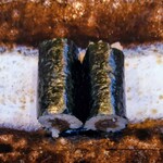 THE SUSHI TOKYO 旬 - 干ぴょう巻き