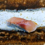 THE SUSHI TOKYO 旬 - しめさば(ゴマサバ)