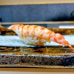 THE SUSHI TOKYO 旬 - 車海老