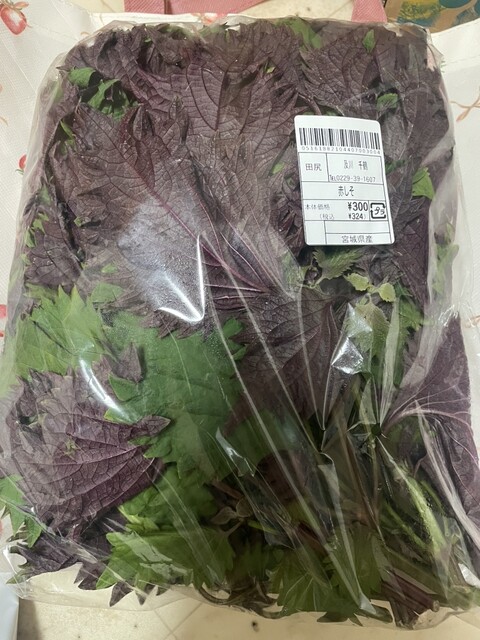 元気くん市場 仙台店 - 富谷町その他（その他）の写真