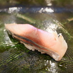 にぎり鮨 一五〇 - 〆鯖