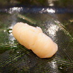 にぎり鮨 一五〇 - 帆立