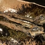 魚津 - 