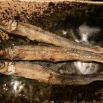 魚津 - 