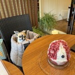 カフェサブヒロ - かき氷　氷がフワフワ