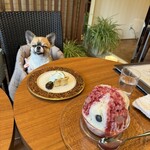 カフェサブヒロ - 抹茶のケーキ　とても美味しいグルテンさらに素材にも全てこだわってるケーキ