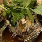 China Bal 華SUN匠 - 