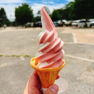 ふれあいの郷直売所 売店_1