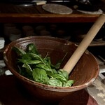 クイント - バジル