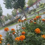 インデアンレストラン  ニューミラ - 