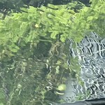 インデアンレストラン  ニューミラ - 