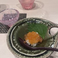 博多 鮨 まつもと - 