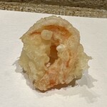 日本橋 蕎ノ字 - 背開き