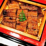 うなぎのなか尾 - 