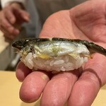 銀座 しのはら - 