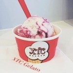 XTC Gelato - 