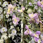 HAUTE COUTURE BRUNCH - 