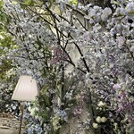 HAUTE COUTURE BRUNCH - 