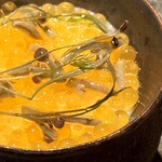 アニエルドール - 涼しげな丸い器には、青森県産蕪のブランマンジェが底に敷かれ、その上を滋賀県のビワマスの卵とジュンサイが優しく覆います。添えられたフヌイユの新芽の青さが、初夏の気配を添えています。