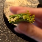 アニエルドール - 