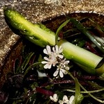 アニエルドール - 