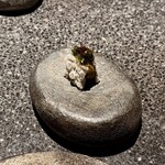 アニエルドール - 右奥の別皿では、苔のチップスとライスペーパーに挟まれた貝と小芋のピューレを手でいただくと、まるで浜辺を歩きながら摘み食いするような遊び心も。白ワインの清らかな酸が、潮の香りと共鳴して、心地よい余白を残します。