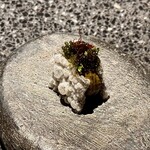 アニエルドール - 