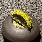 アニエルドール - 