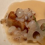 アニエルドール - 