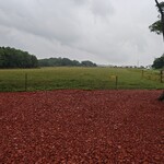 ジャージーの箱庭 - 