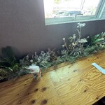 グレープショップ ココロ - 