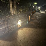 ハット・ウォールデン - 