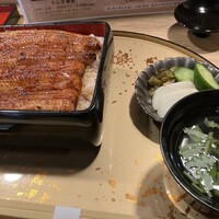 うなぎ 目白ぞろ芽 - 美しく光っている鰻