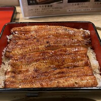 うなぎ 目白ぞろ芽 - 共水うなぎ