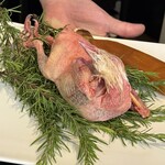 ビストロ セレニテ - 