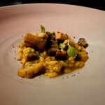 セルサルサーレ - 