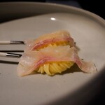 セルサルサーレ - 