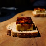 セルサルサーレ - 