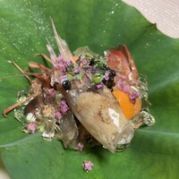 京遊膳 花みやこ - 
