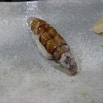 すし処　津ごう - 和歌山シャコ(2014.01)