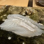 鮨桂太 - マコガレイお造り