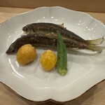 鮨桂太 - 稚鮎 新銀杏 ミニオクラ