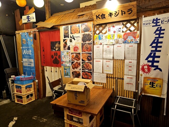 K Shoku Kijitora photo 4