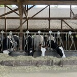 チーズハウス ヤルゴイ - 